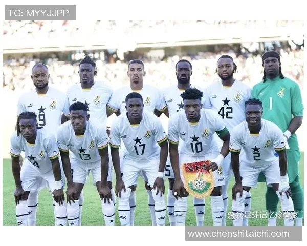 多哥足球球星的传奇之路与世界赛场的辉煌表现